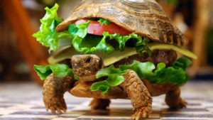 Turtle Burger