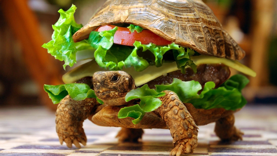 Turtle Burger